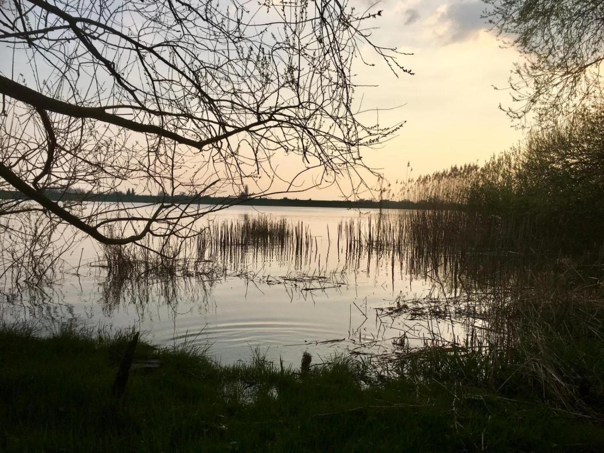Wohnen Im Alten Land Grünendeich エクステリア 写真